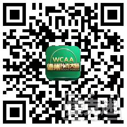 线上线下大不同？掌握这四点即可玩转绿色德扑大师春季赛！