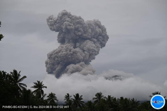 印尼伊布火山多次喷发 火山灰柱最高达1500米